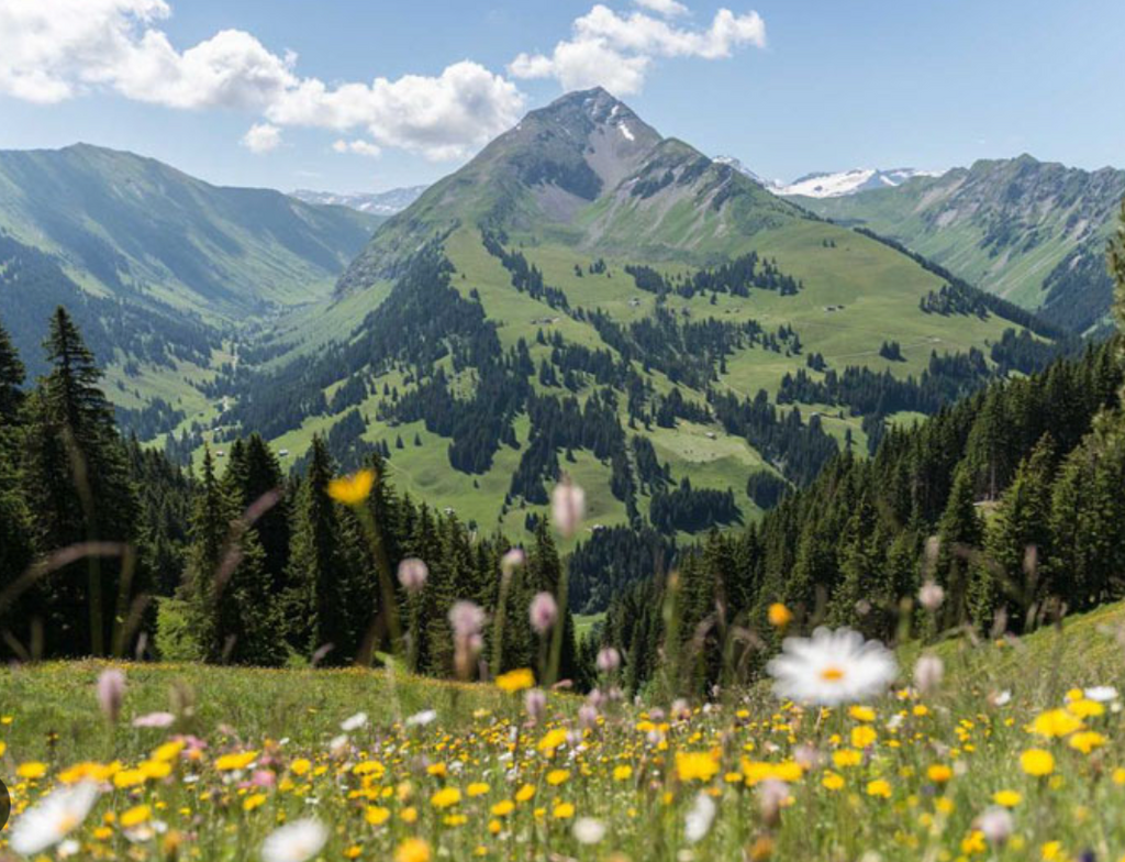 A Spatial Medicine exclusive - Observations 25/8/23