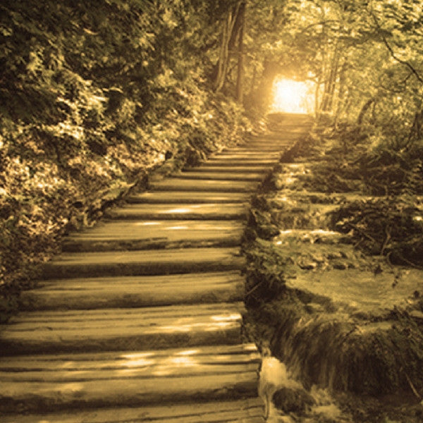 THE PREPARATORY PROGRAMME